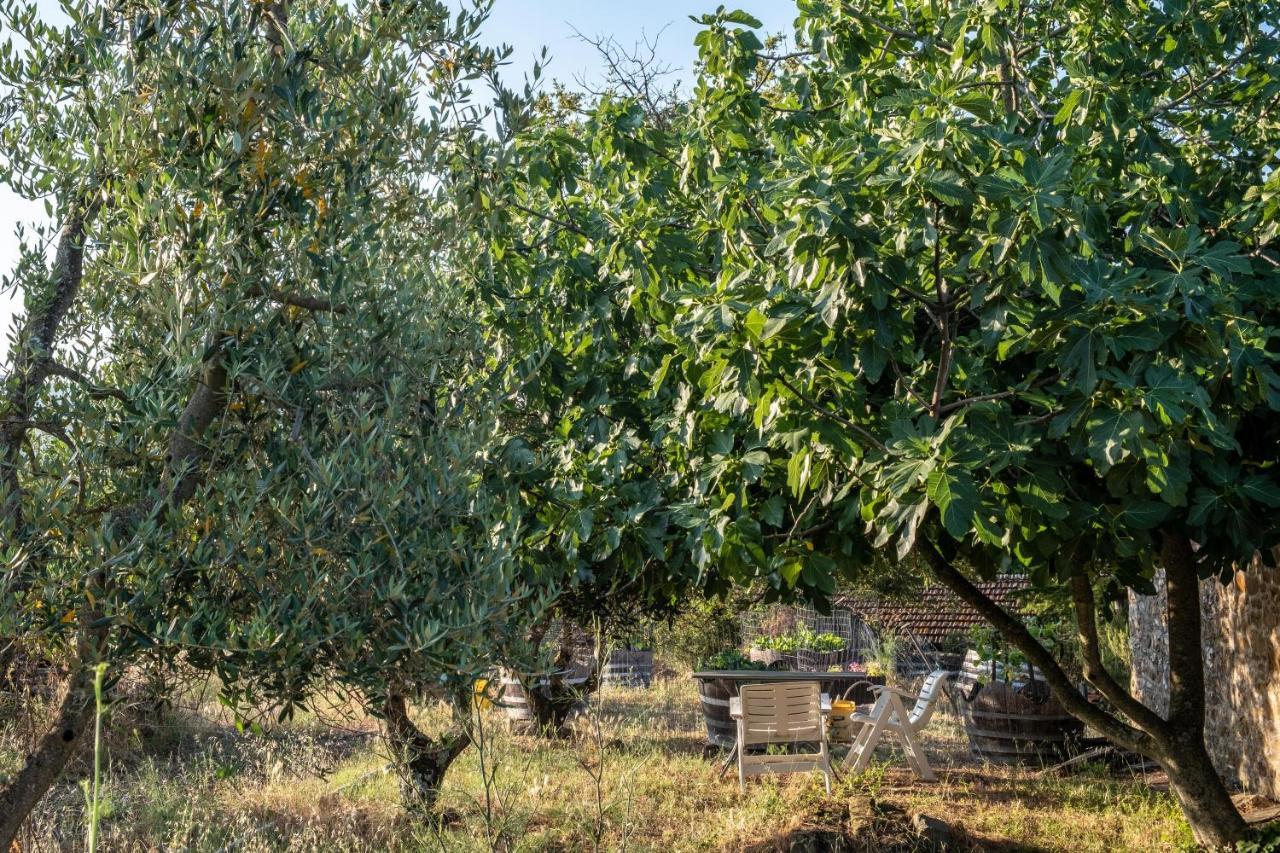 Podere Pruneto Radda in Chianti Exterior photo
